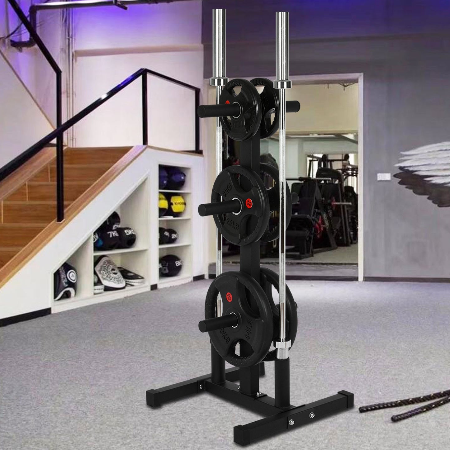 Olympic Weight Plate Rack