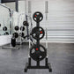 Olympic Weight Plate Rack